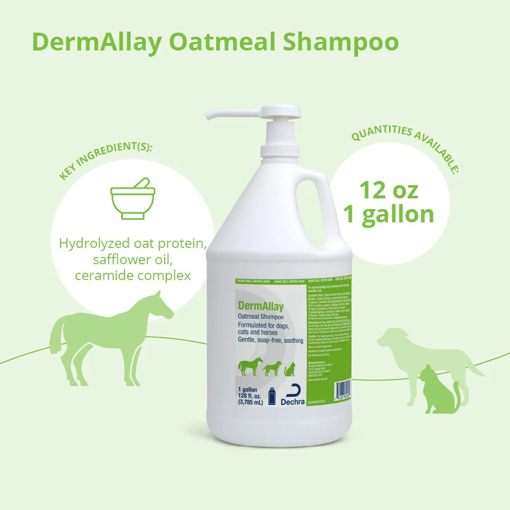 DermAllay Oatmeal Shampoo for Dogs, Cats & Horses - Image 10