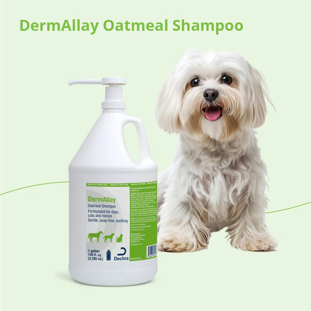 DermAllay Oatmeal Shampoo for Dogs, Cats & Horses - Image 12