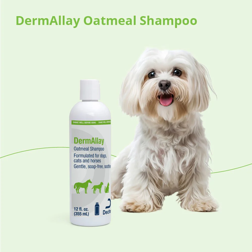 DermAllay Oatmeal Shampoo for Dogs, Cats & Horses - Image 6