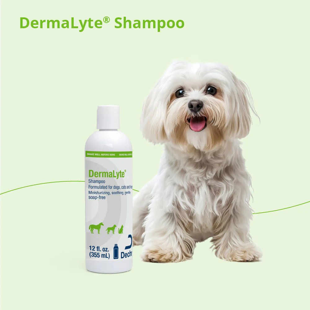Dermalyte Shampoo for Dogs, Cats & Horses - Image 4
