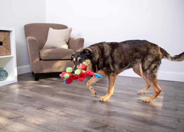 Dinos Frills Triceratops Dog Toy - Image 11