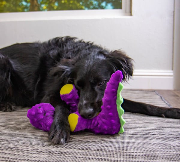 Dinos Purple Bruto Brontosaurus Dog Toy - Image 6