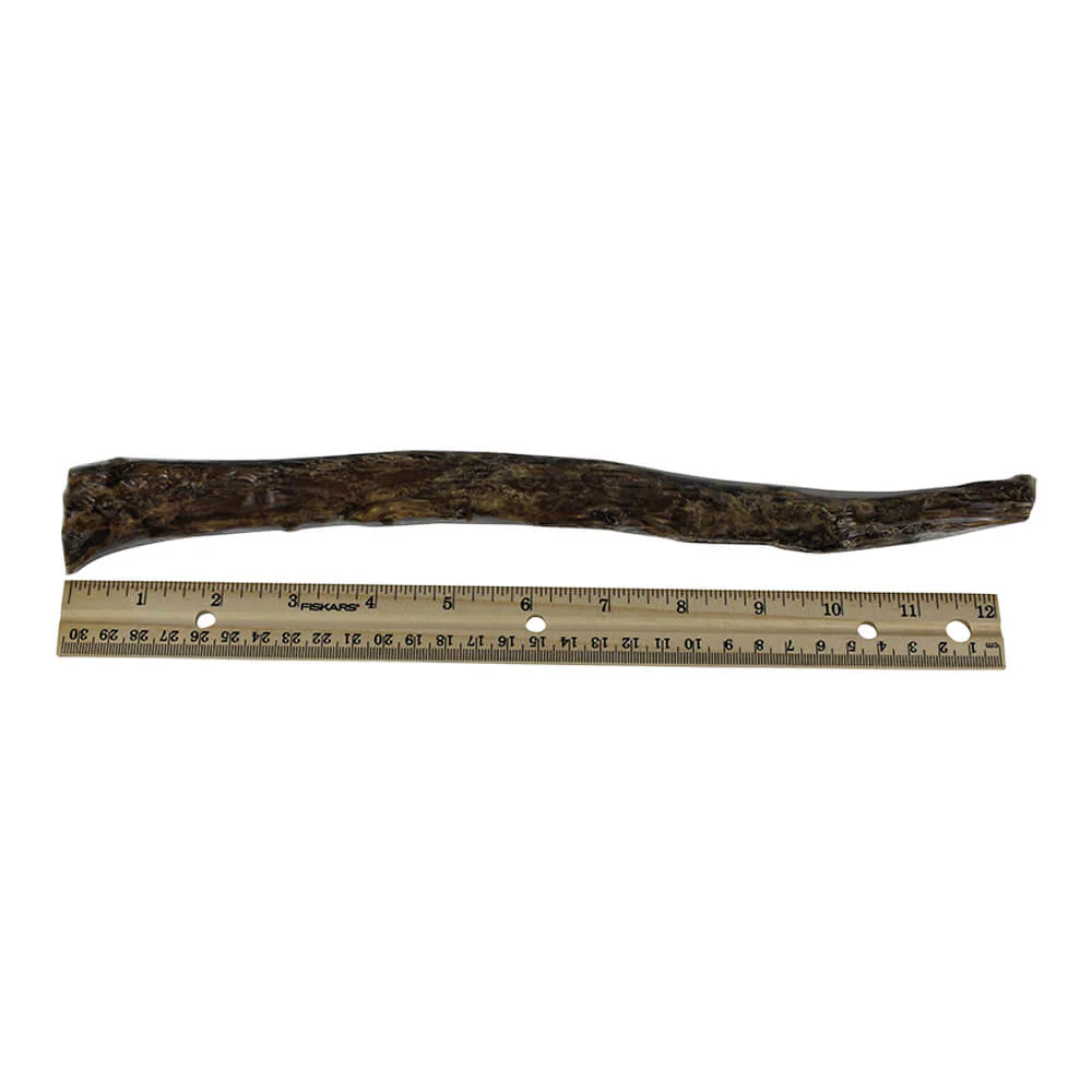 Dog Bully Sticks Premium All Natural Dog Pizzle Chews, 12" - Image 8