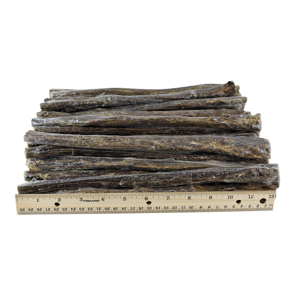 Dog Bully Sticks Premium All Natural Dog Pizzle Chews, 12" - Image 9