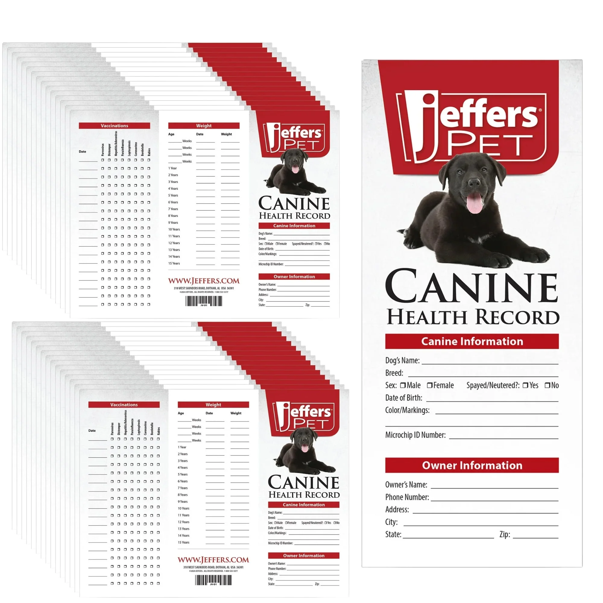 Jeffers Dog Health Record - Image 8