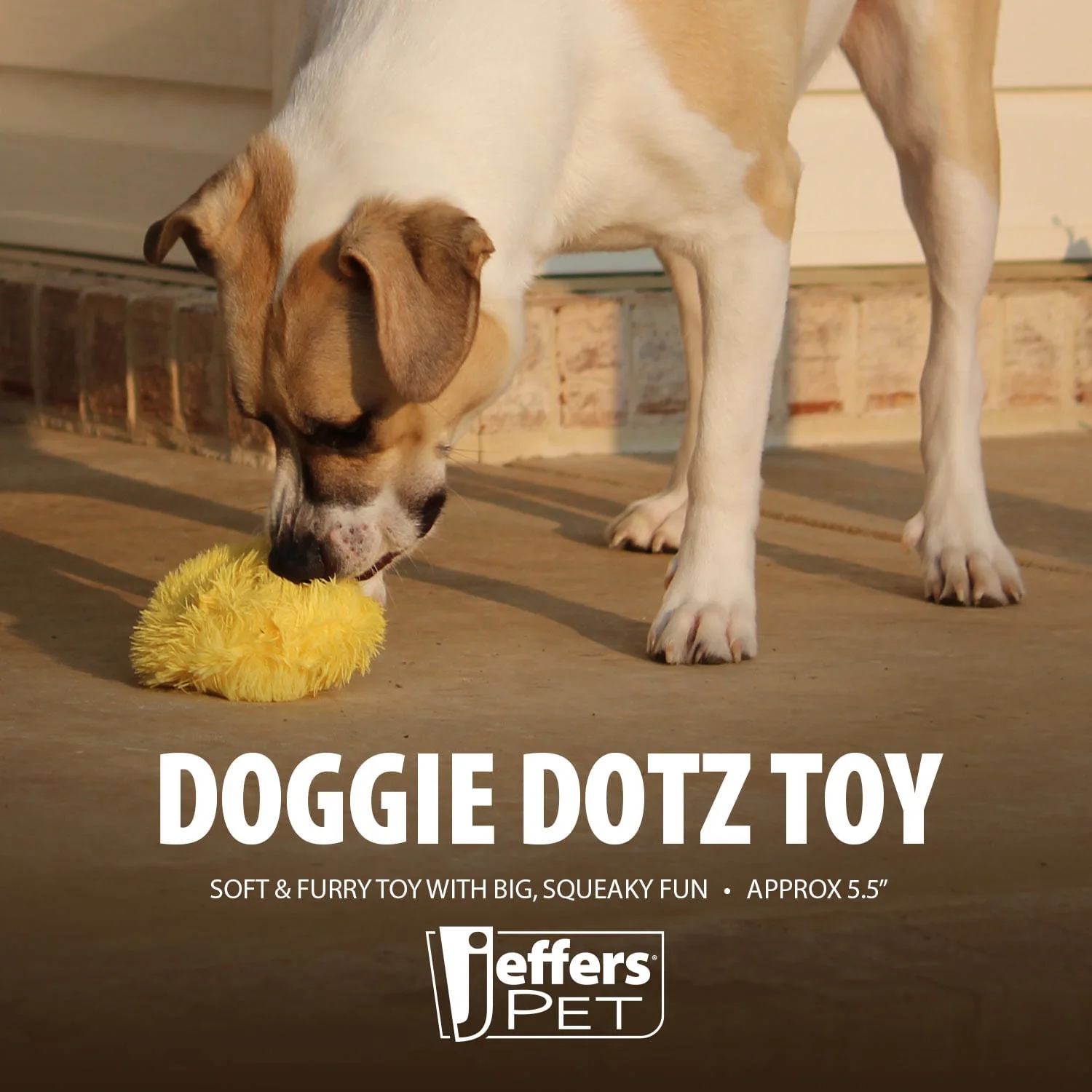 Jeffers 5" Doggie Dotz Plush Squeaker Dog Toy, Each - Image 3