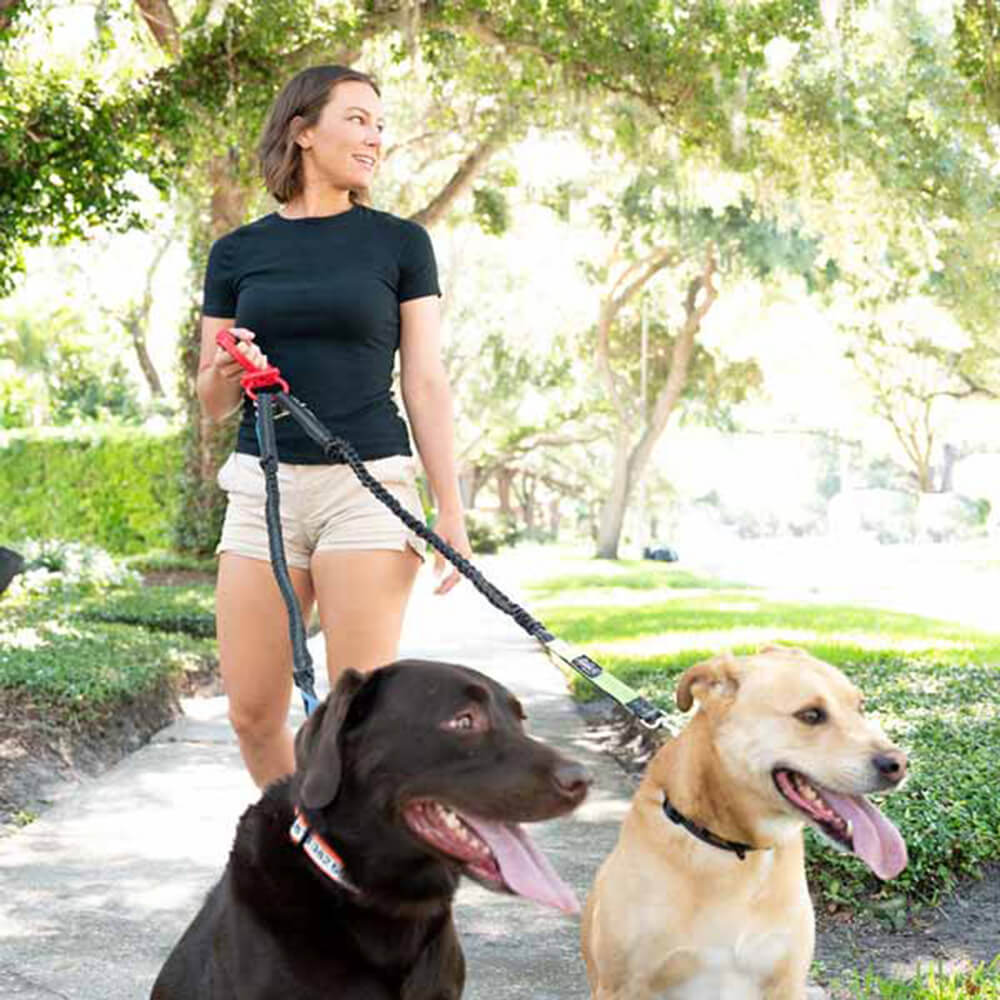 Doggie Pal Leash Holder and Waste Bag Storage - Image 2