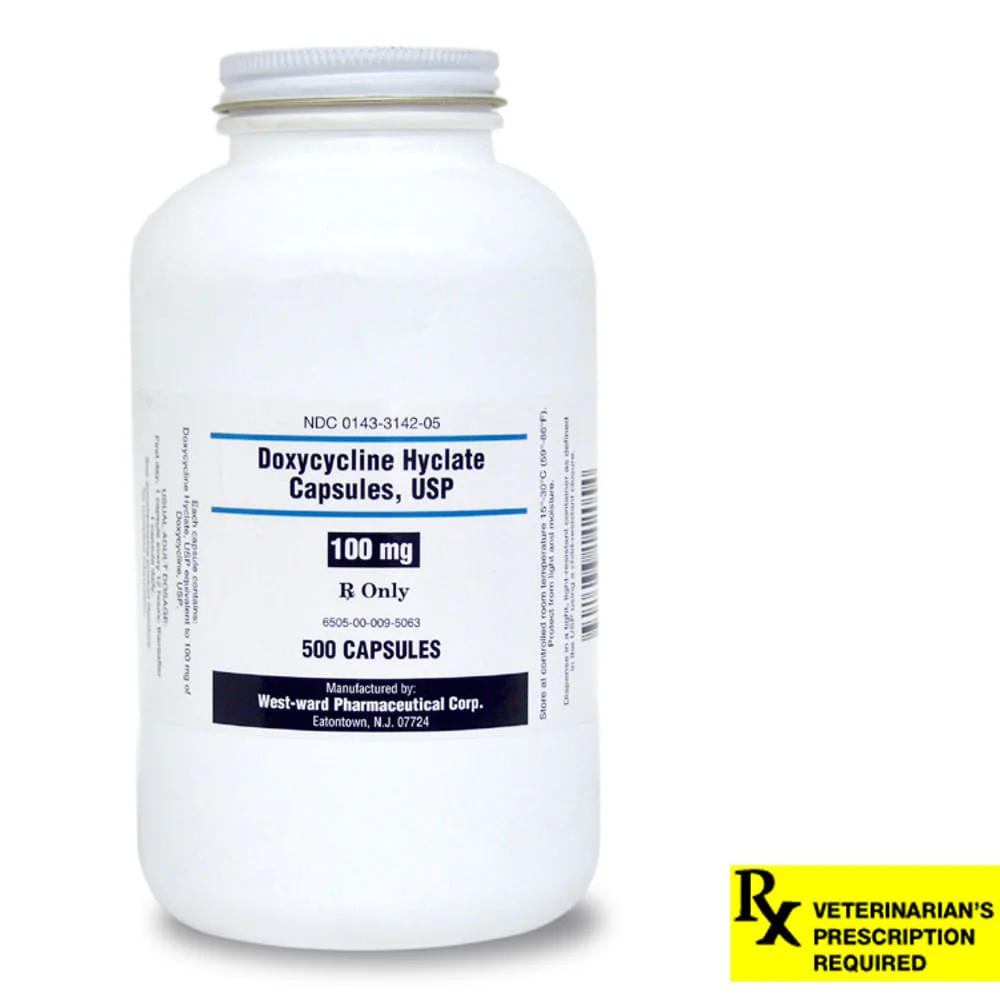 Rx Doxycycline Hyclate (Generic) Capsules - Image 4