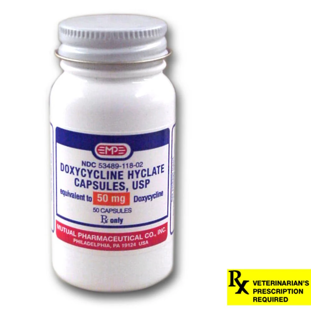 Rx Doxycycline Hyclate (Generic) Capsules - Image 5