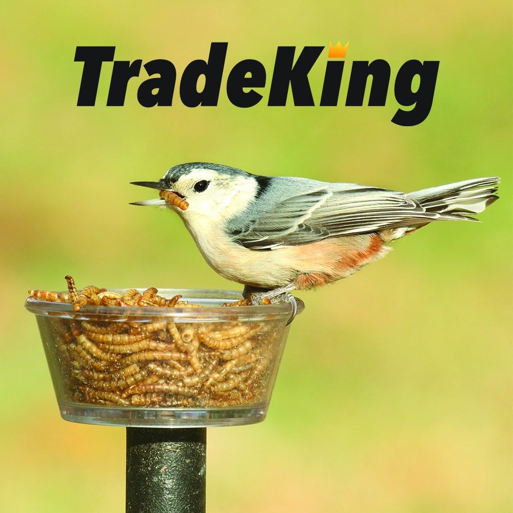 Dried Mealworms for Wild Birds, Chickens, Fish, & Reptiles - Image 4