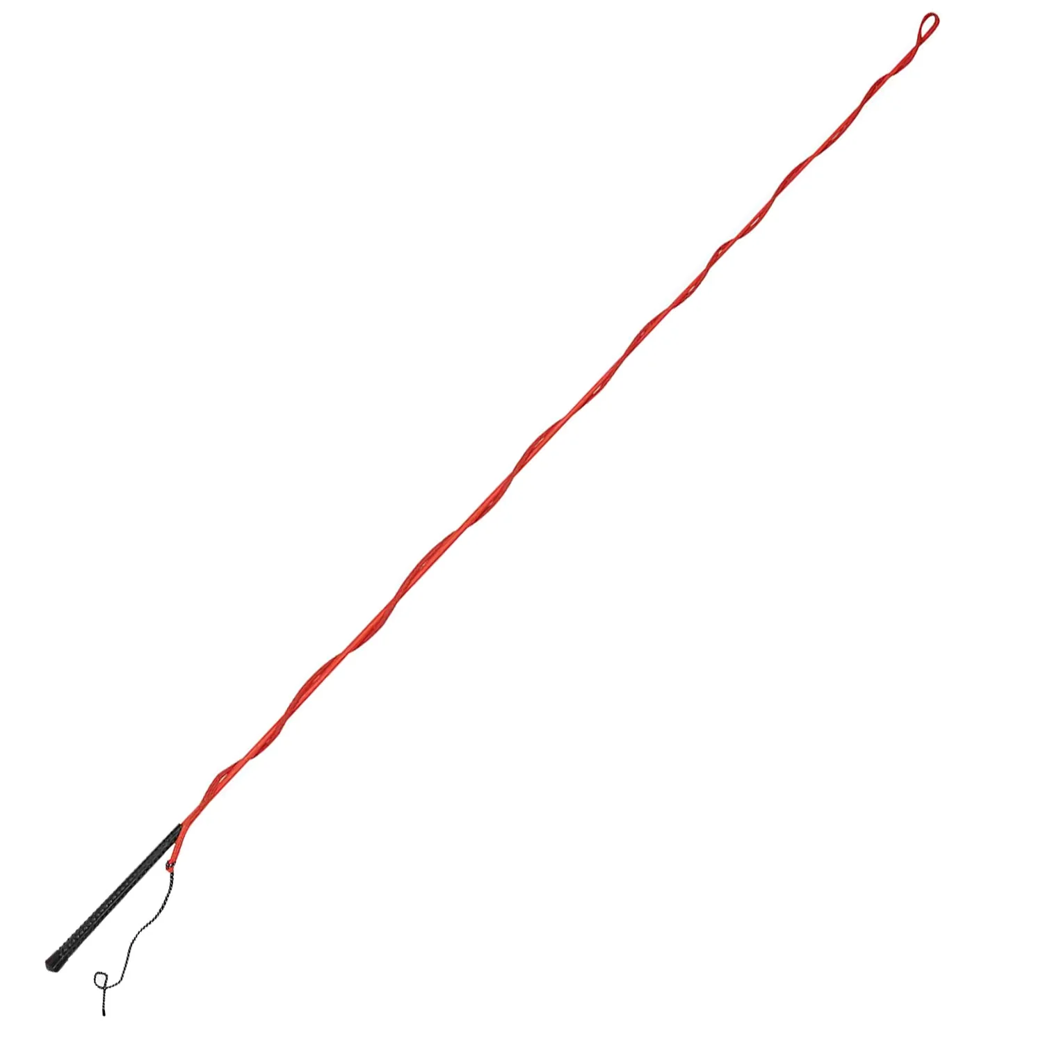 Dublin Equestrian Training Lunge Whip - Image 6