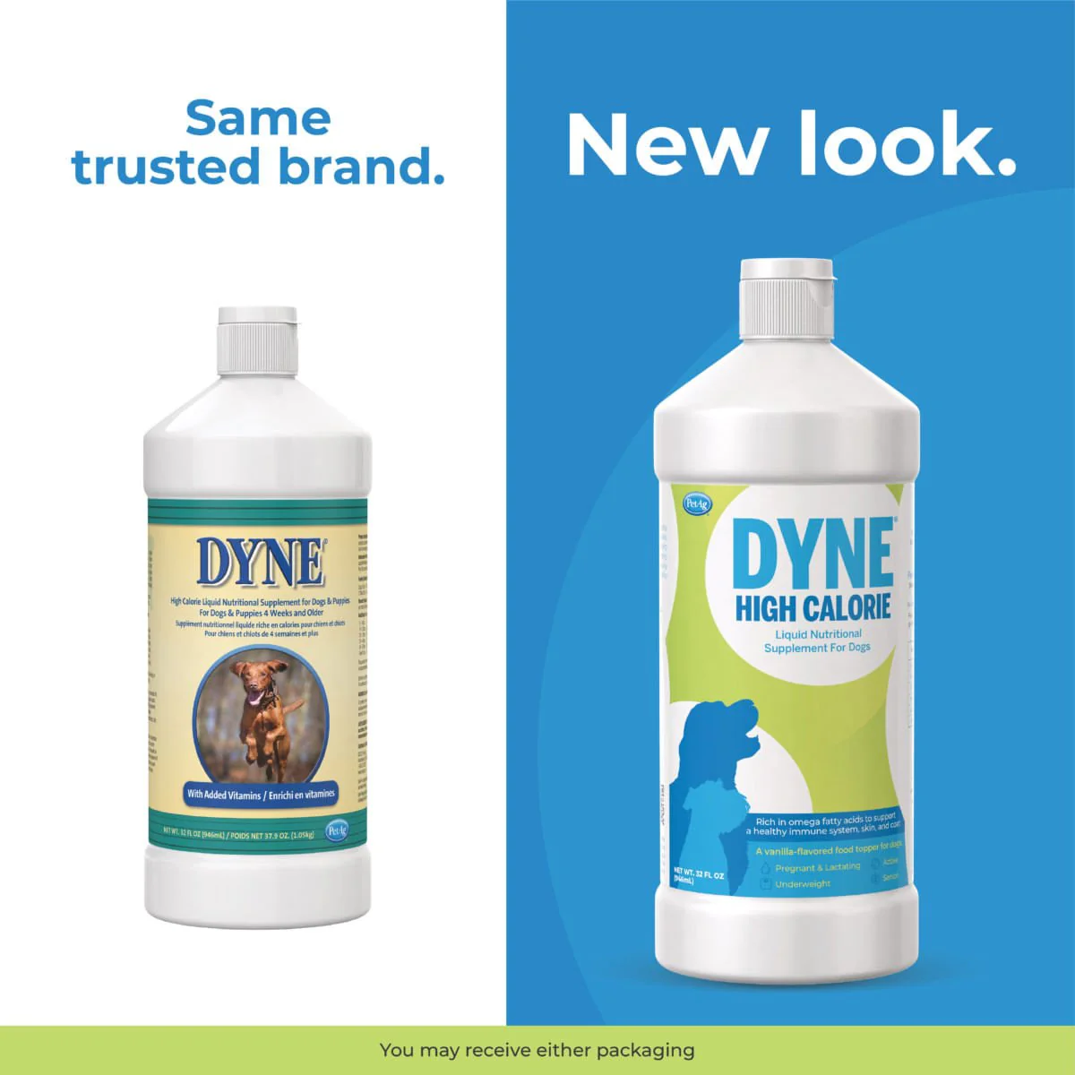 PetAg Dyne High Calorie Liquid Nutritional Supplement for Dogs - Image 7