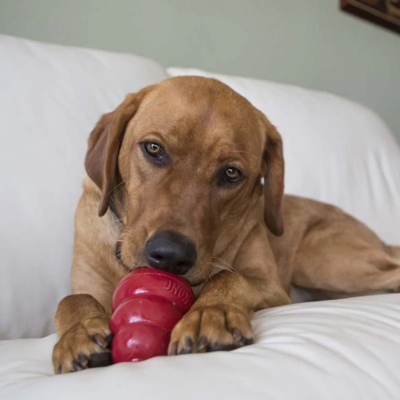 KONG Holiday Easy Treat® Turkey & Sweet Potato – Stuffable Dog Treat, Low-Calorie, Perfect for KONG Toys - Image 4