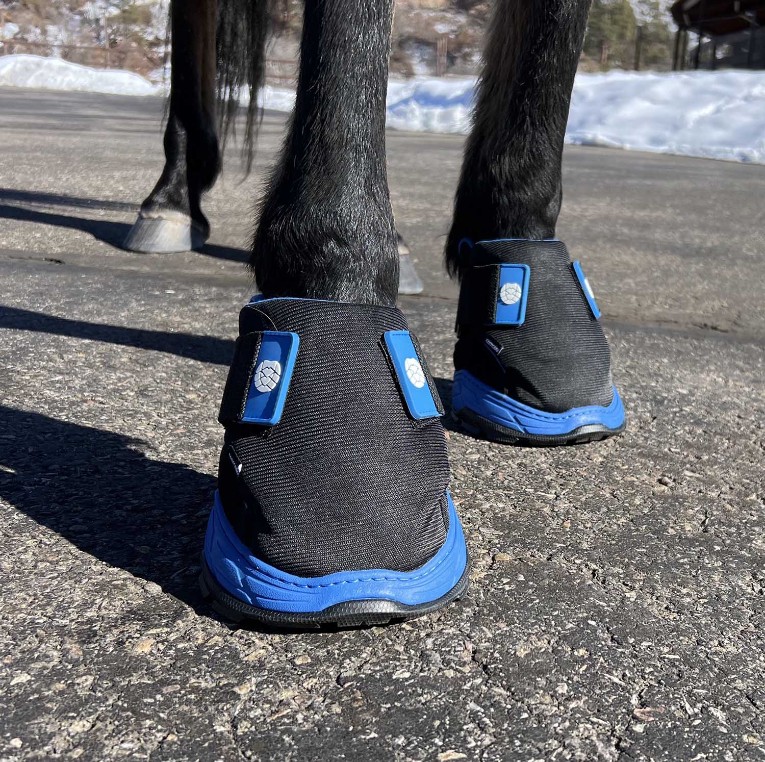 Easyboot Rx2 Therapy Horse Hoof Boot, Single - Image 6