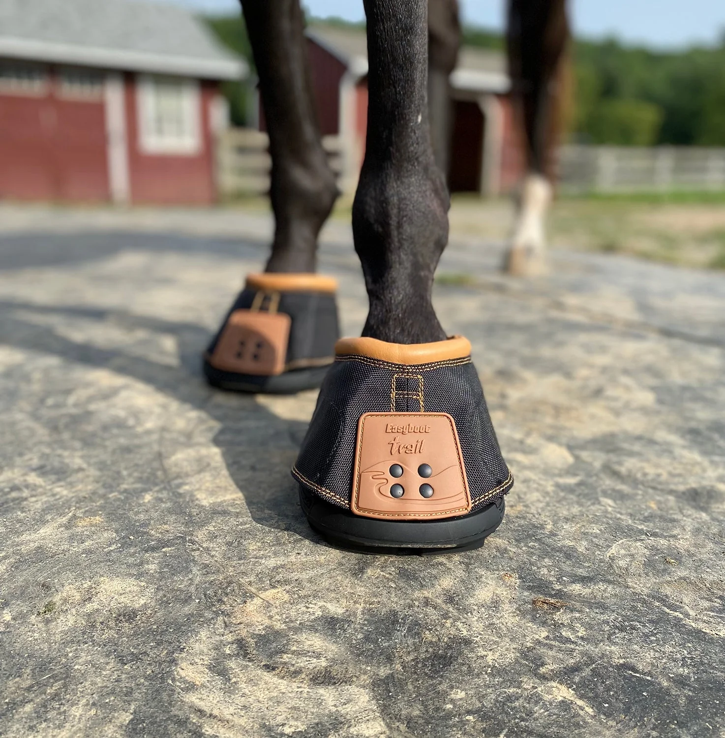 Easyboot Trail Horse Boot, Original - Image 4