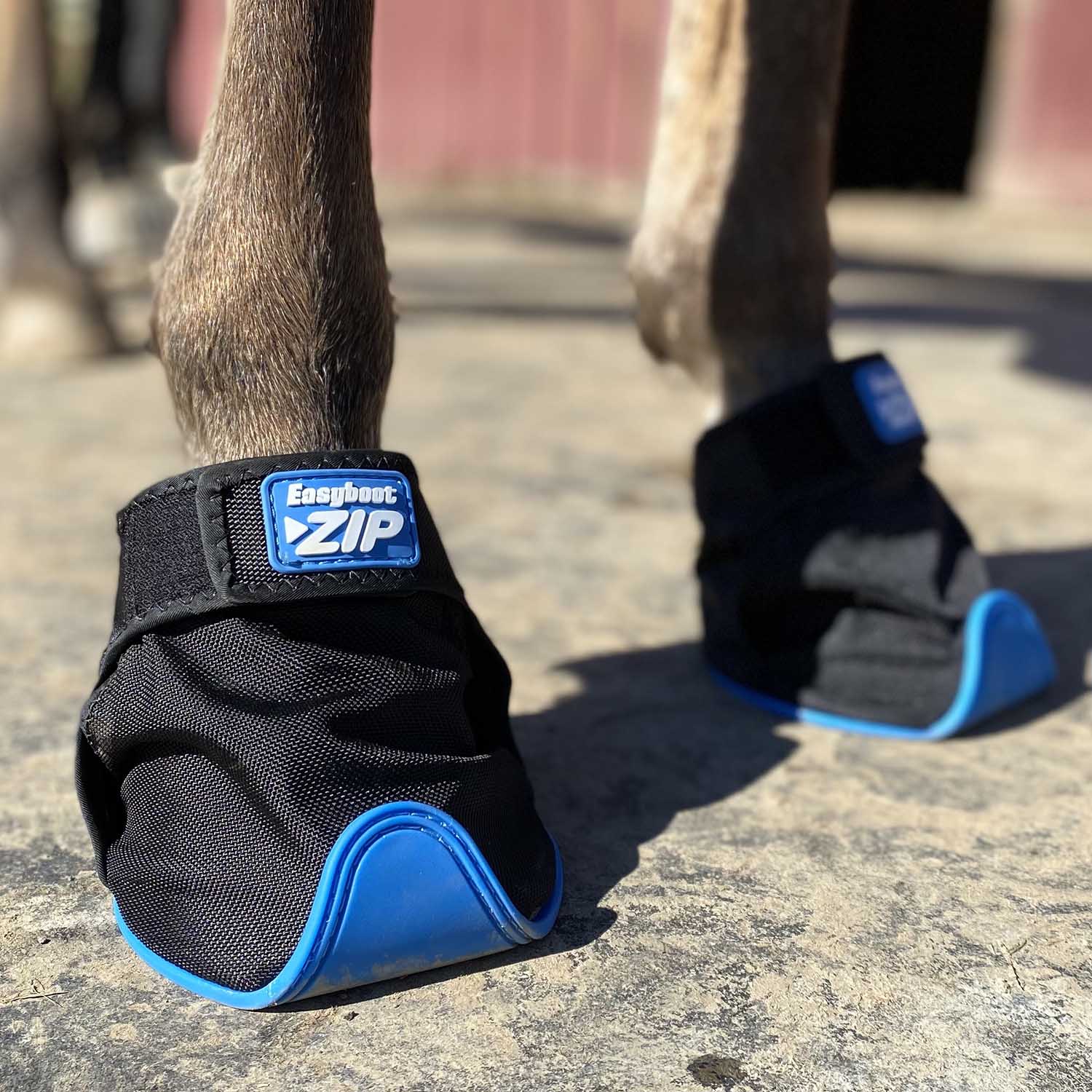Easyboot ZiP Horse Hoof Boot, Single - Image 4