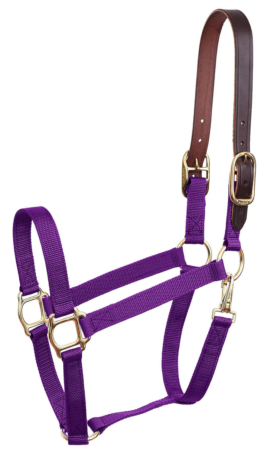 Economy Nylon Safety Horse Halter - Image 29