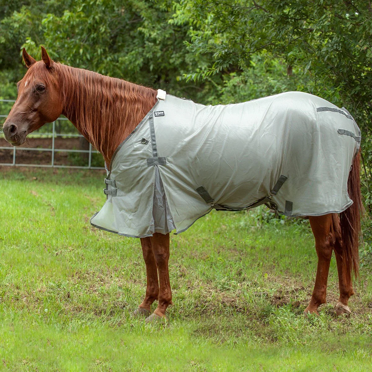 Cashel Economy Standard Neck Fly Sheet for Horses - Lightweight, UV & Insect Protection - Image 6