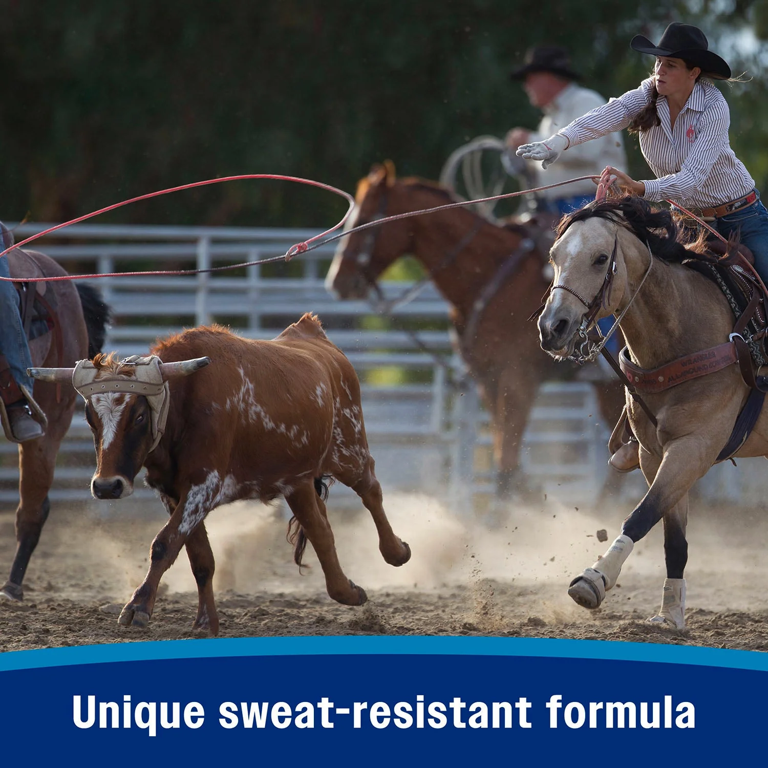 Farnam Endure Sweat-Resistant Fly Control Spray for Horses - Image 14