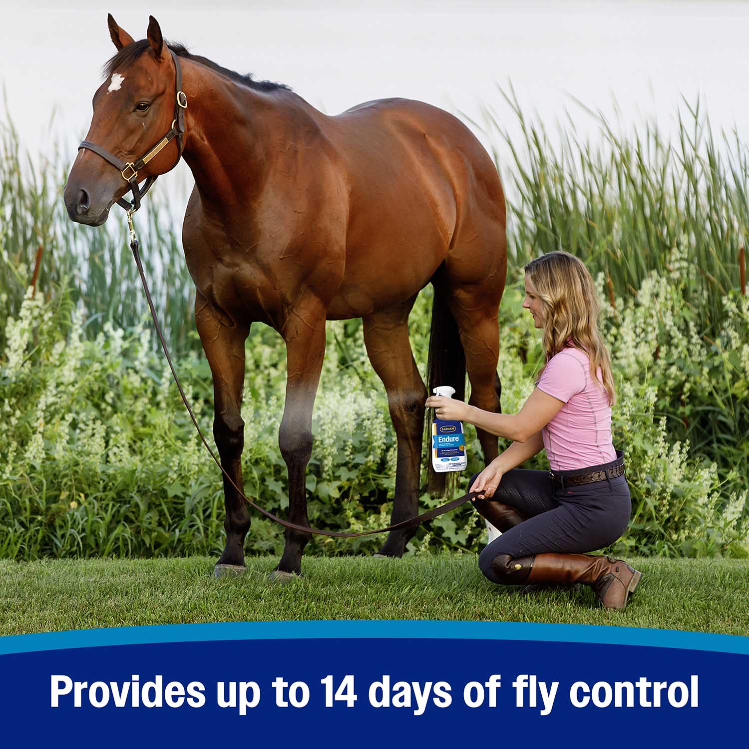 Farnam Endure Sweat-Resistant Fly Control Spray for Horses - Image 8