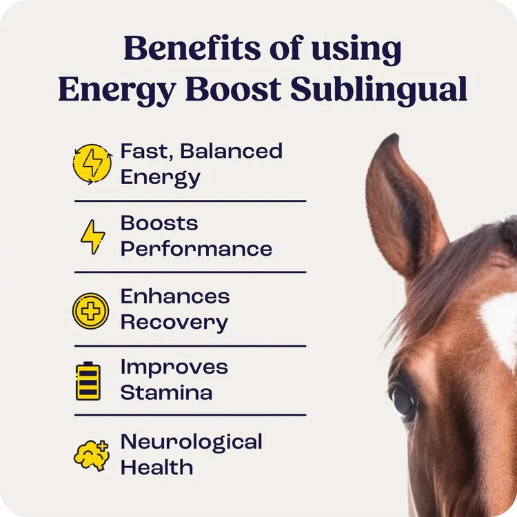 Energy Boost Sublingual for Horses, 3 Dose Pack - Image 3