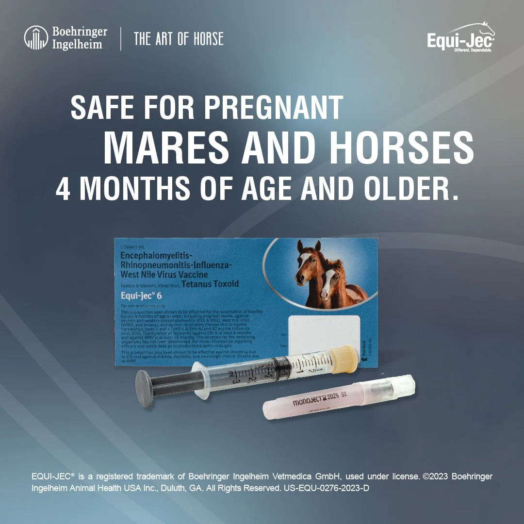 Equi-Jec 6 Vaccine for Horses - Image 4