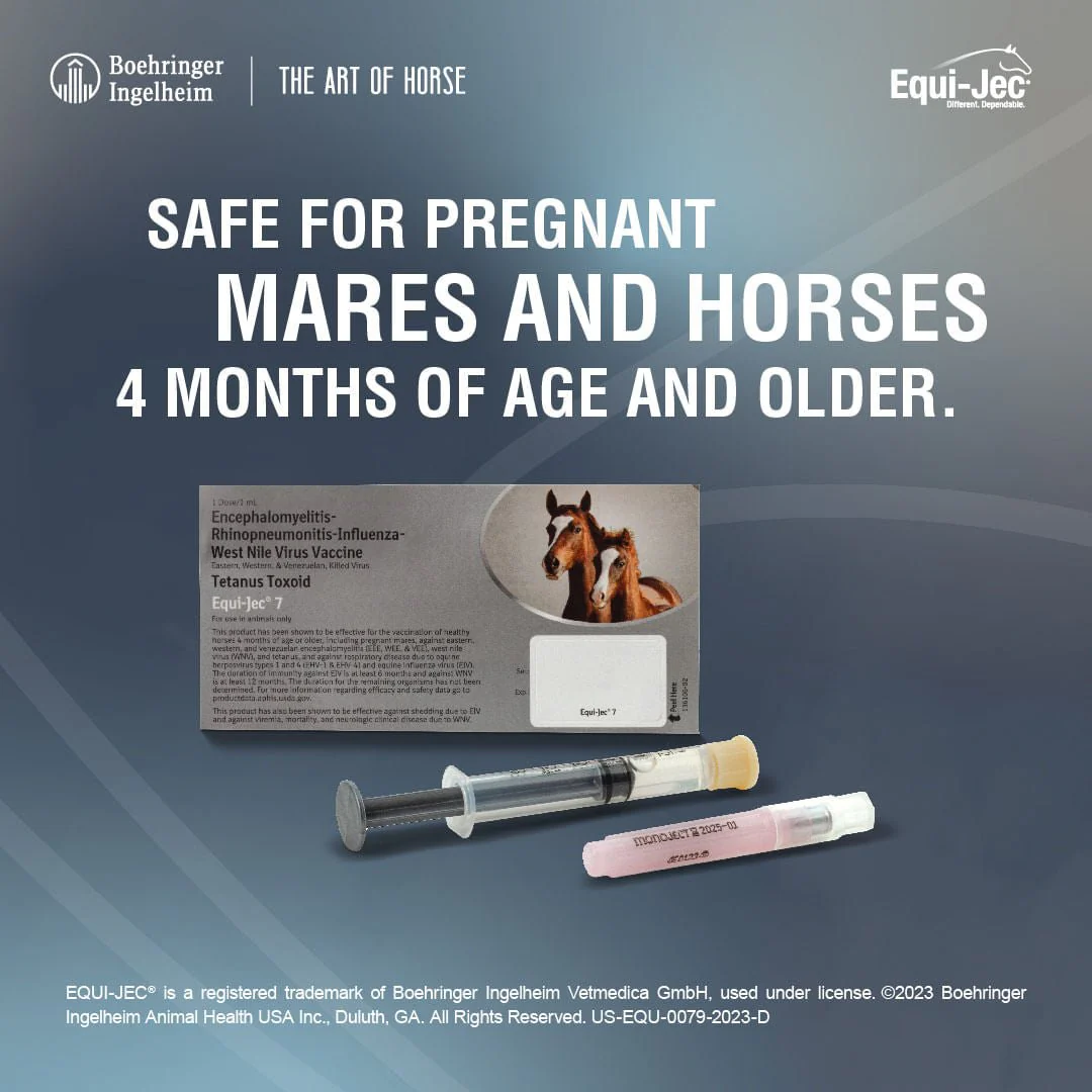 Equi-Jec 7 Vaccine for Horses - Image 5