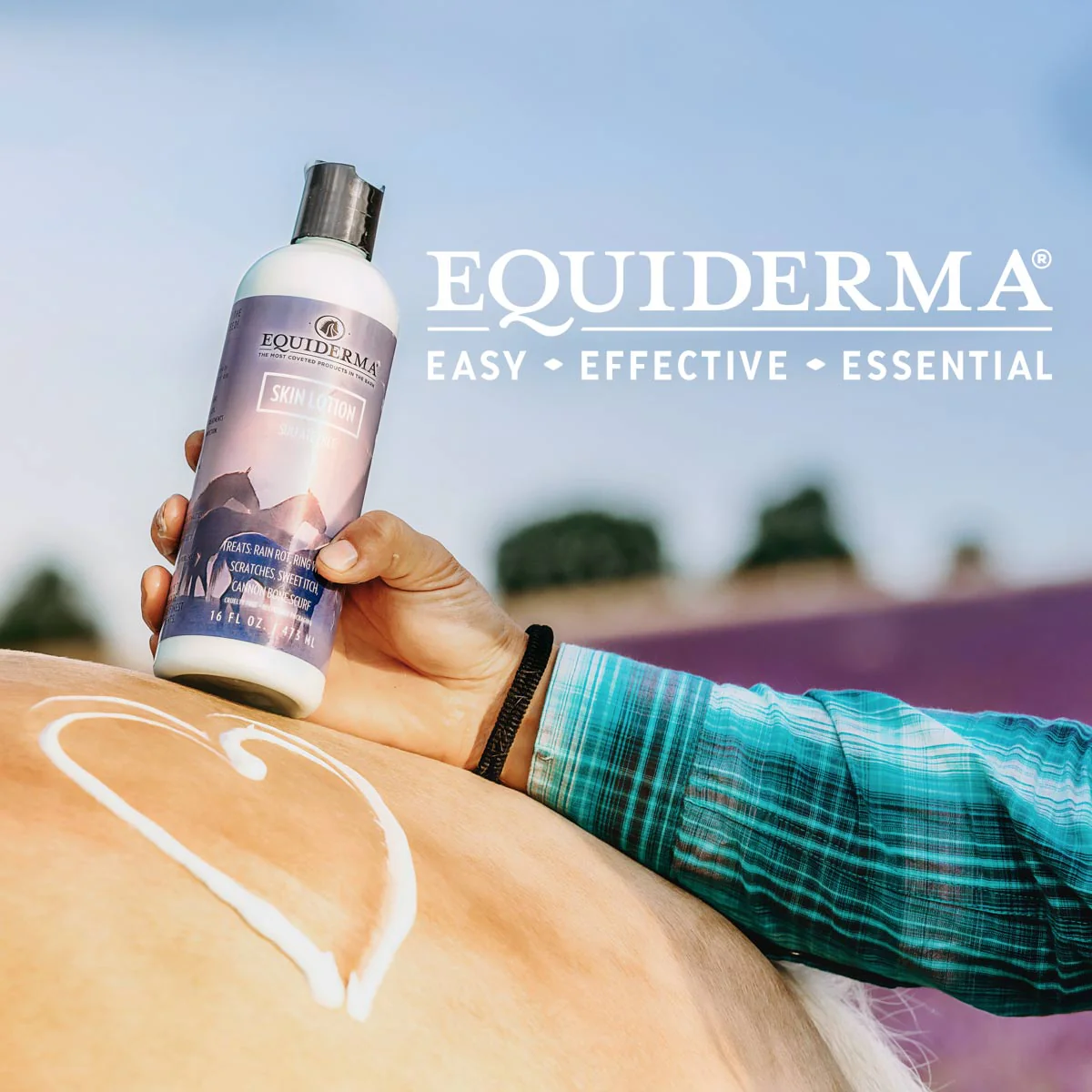 Equiderma Skin Lotion for Horses - Image 3