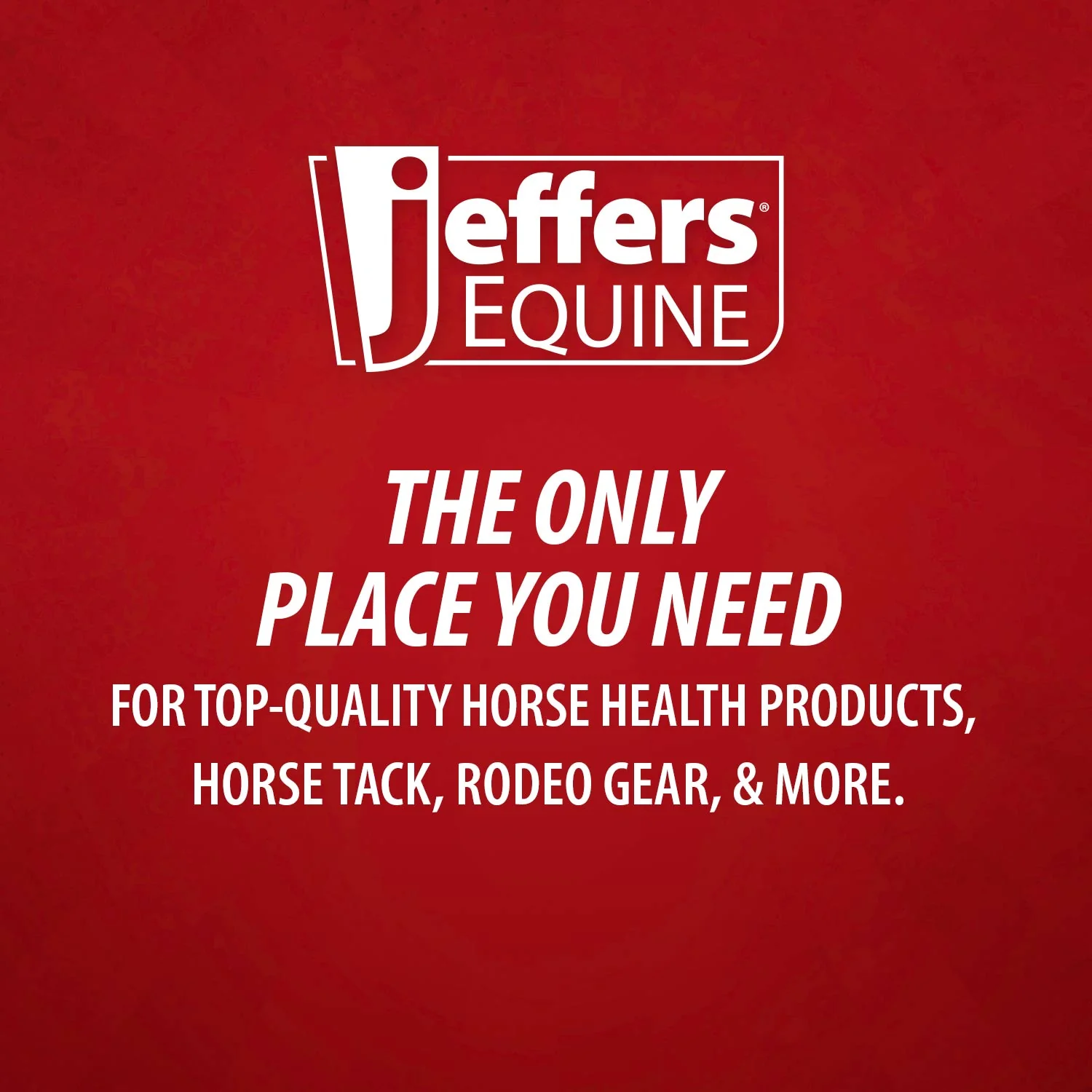 Jeffers Horse Dental Float (& Replacement Blades) - Image 12
