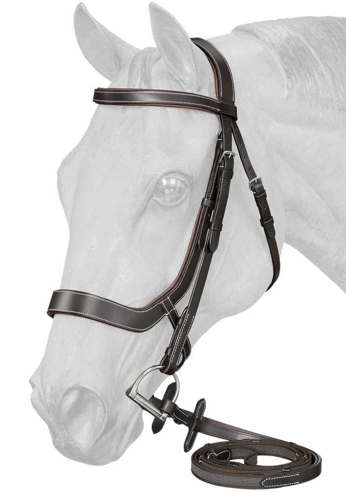 Equitare Cadence Ergonomic Bridle - Image 2