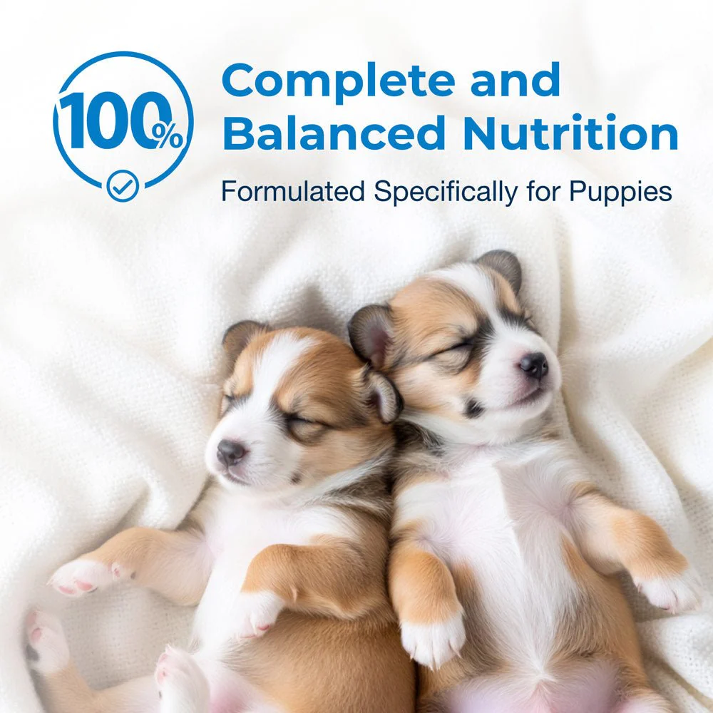 PetAg Esbilac Puppy Milk Replacer Liquid Supplement, Ready-to-Feed Formula with Vitamins - Image 7