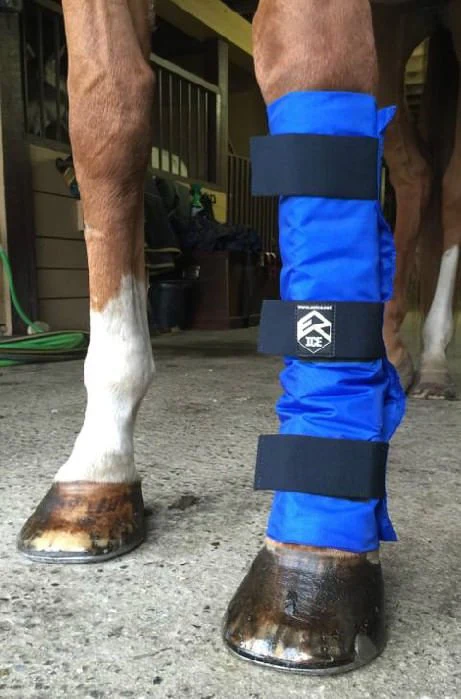EZ Ice Universal Horse Ice Therapy Leg Wrap