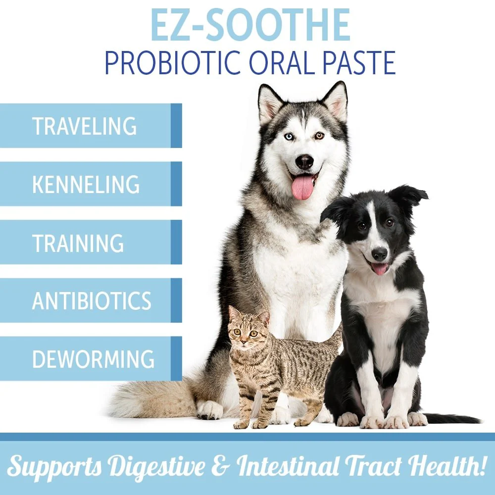 EZ-Soothe Probiotic Oral Paste for Dogs & Cats – Daily Digestive & Gut Support, 30cc - Image 5