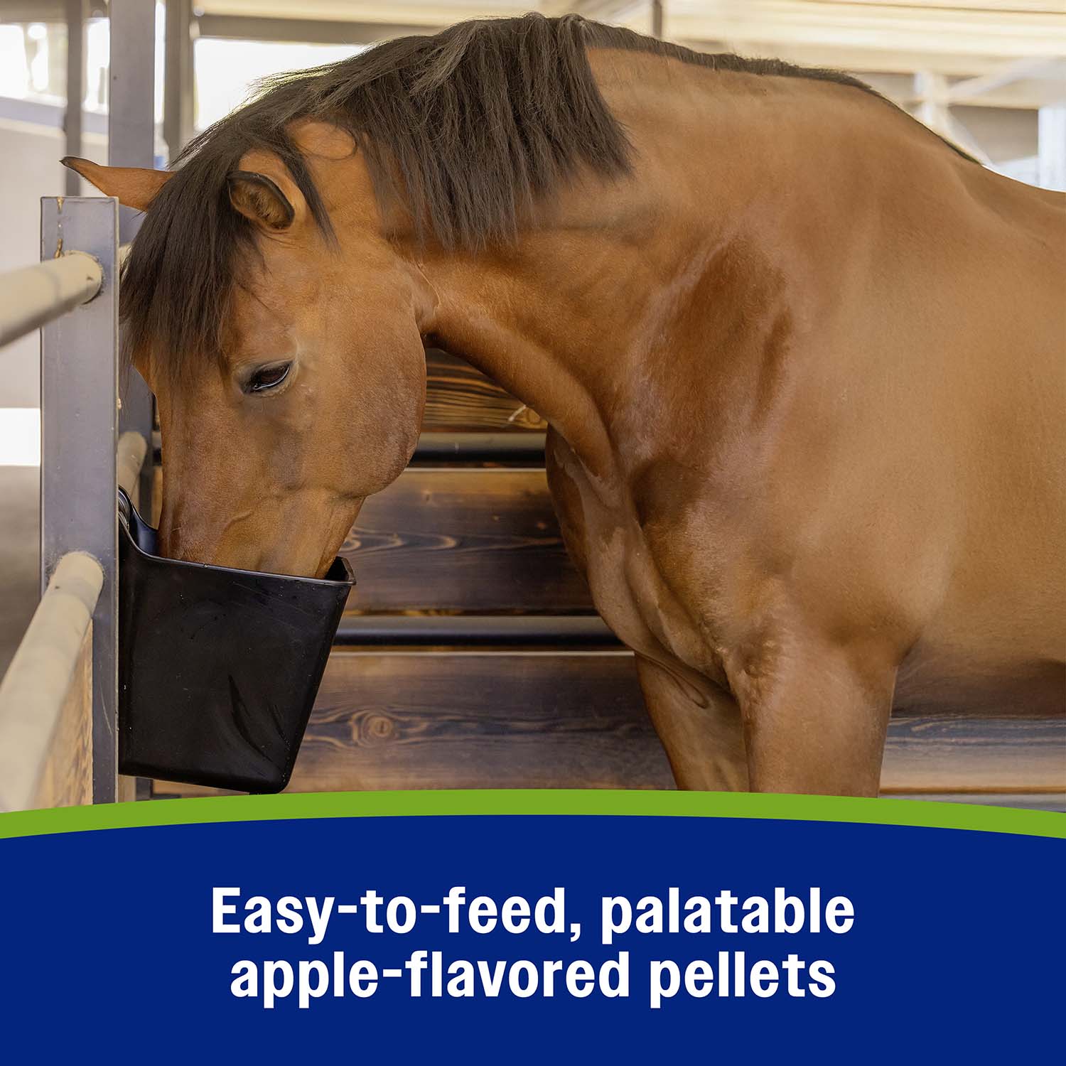 Farnam Apple Elite Electrolyte Pellets for Horses, 7.5 lbs, 40 Day Supply - Image 7