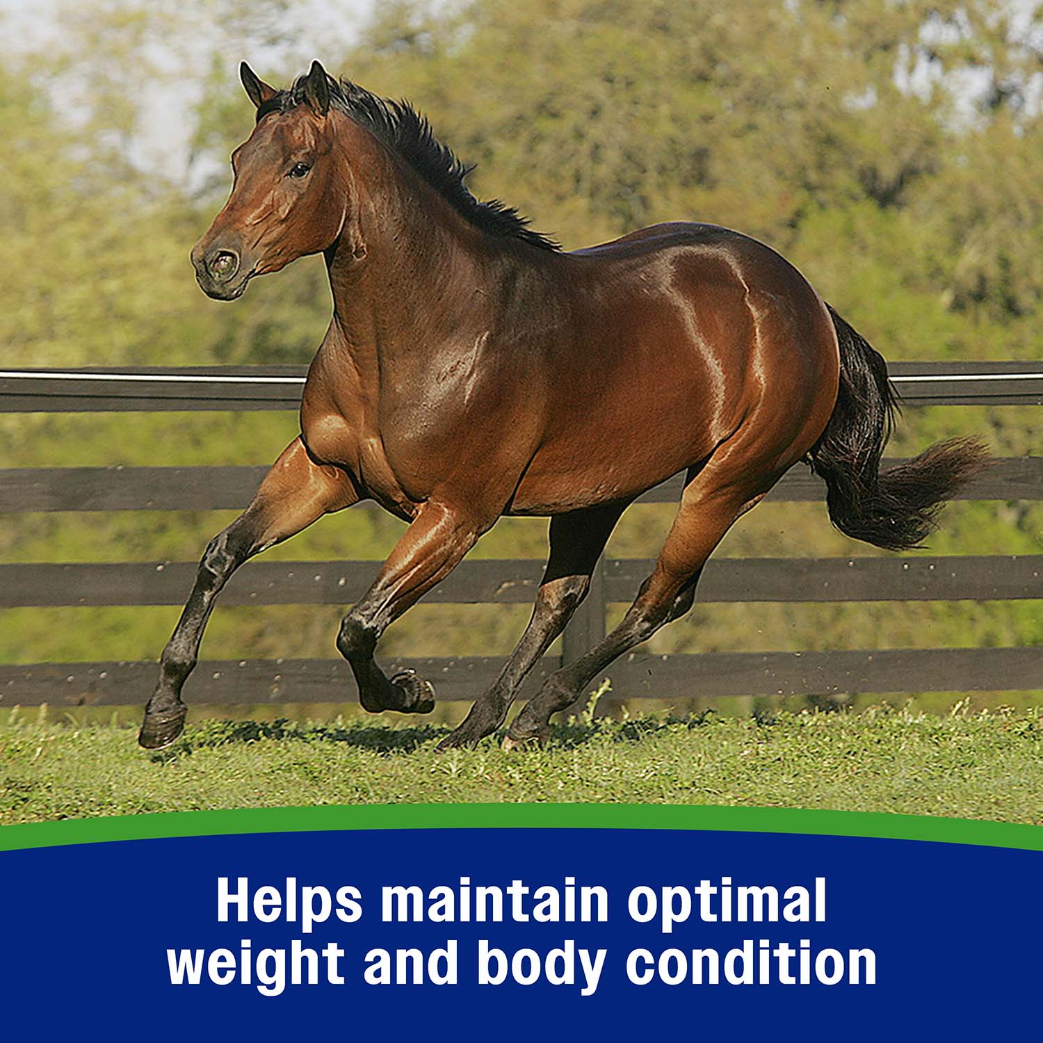 Farnam Weight Builder - Image 10