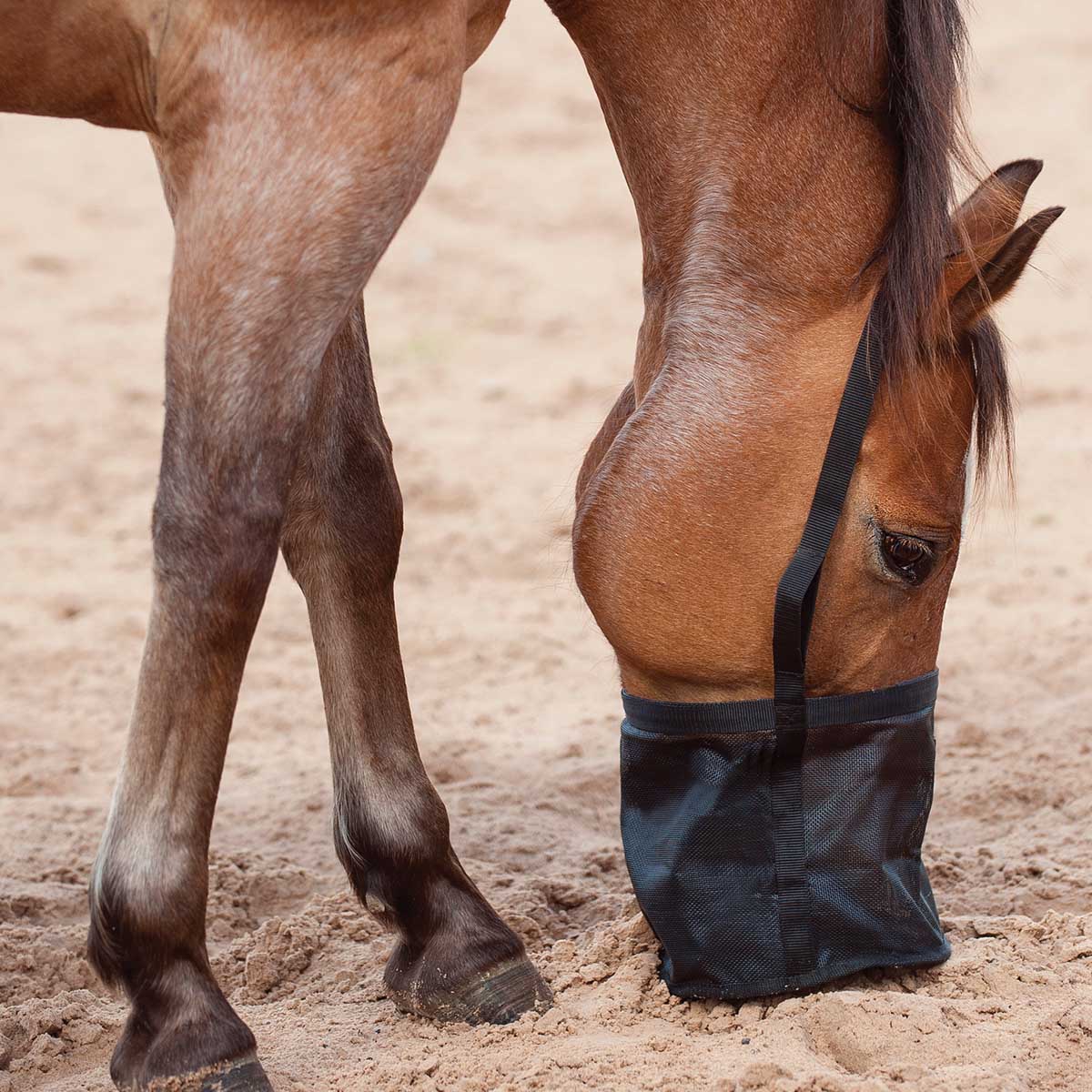 Feed Rite Horse Feed Bag - Image 5