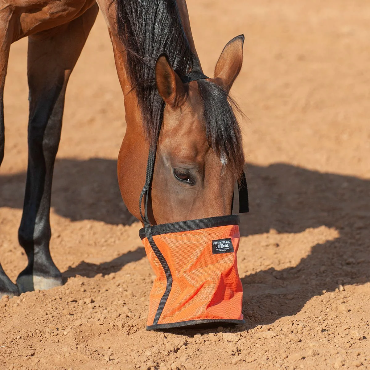 Cashel Feed Rite Bag - Image 5