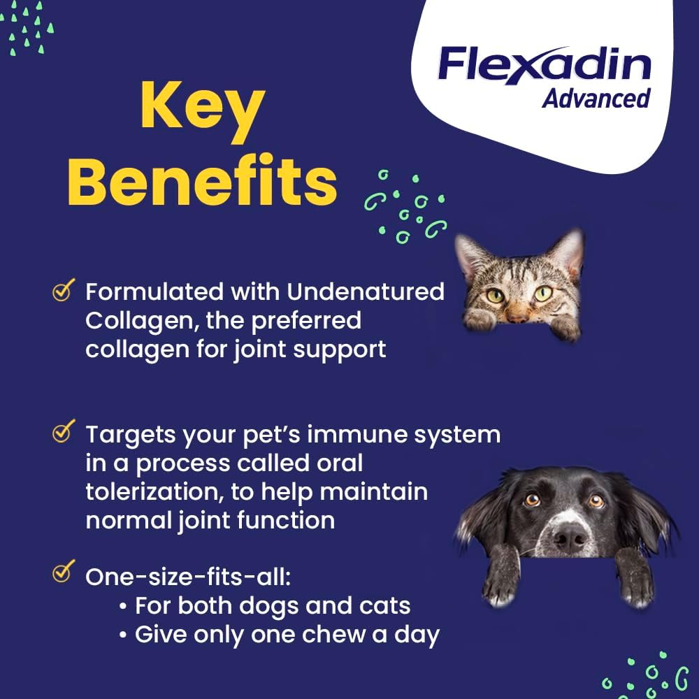 Flexadin Advanced Chews with UC-II Joint Supplement for Dogs & Cats - Image 9