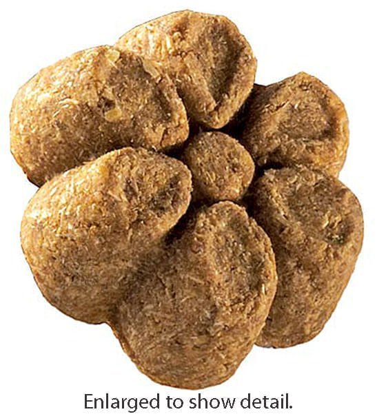Fruitables Calorie Smart Crunchy Dog Treats, 7 oz - Image 7