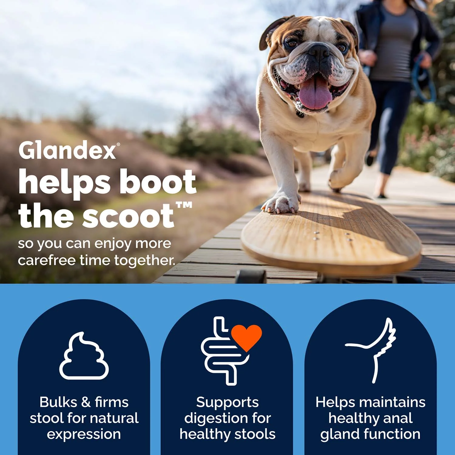 Glandex Advanced Vet Strength Anal Gland Health Soft Chews for Dogs, Duck & Bacon Flavor - Image 7