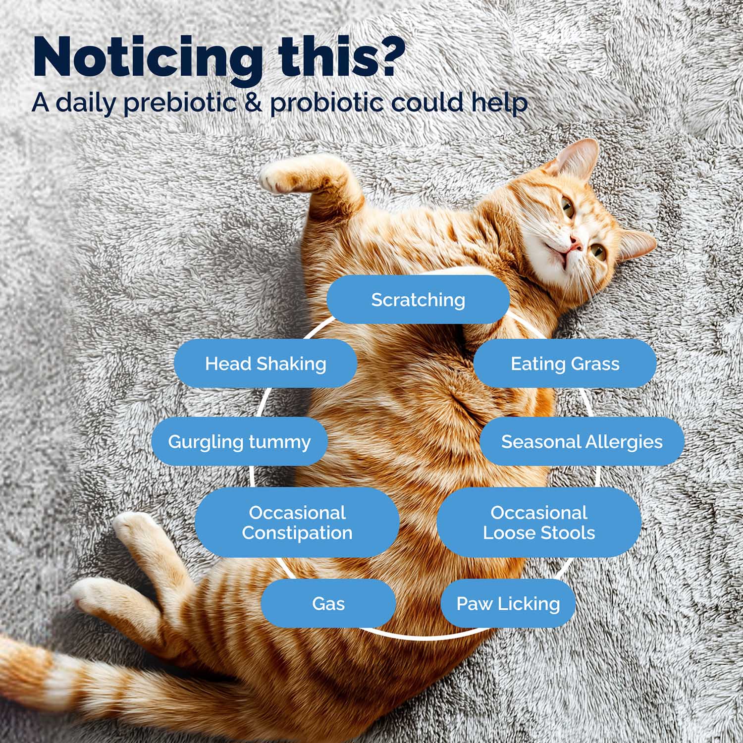 Glandex Daily Prebiotic & Probiotic Powder for Cats, Tuna Flavor, 4.0 oz - Image 5