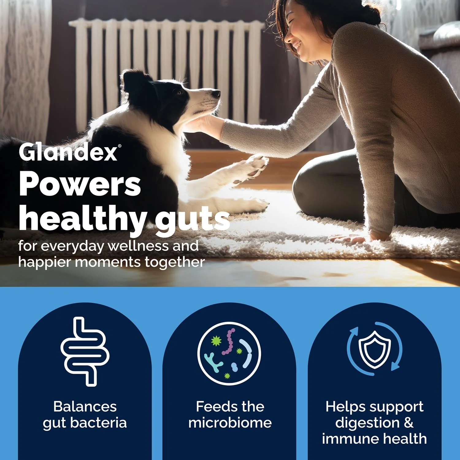 Glandex Daily Prebiotic & Probiotic Soft Chews for Dogs, Bacon Flavor - Image 7