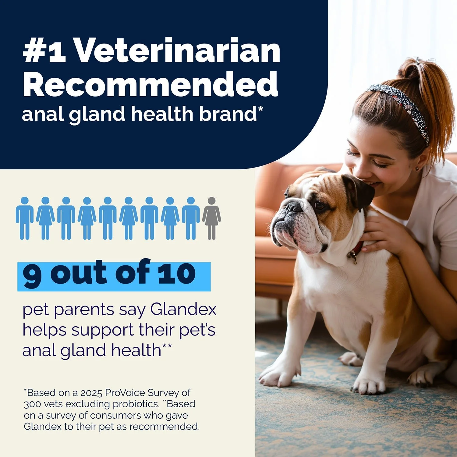 Glandex Anal Gland Health Soft Chews for Dogs - Image 6