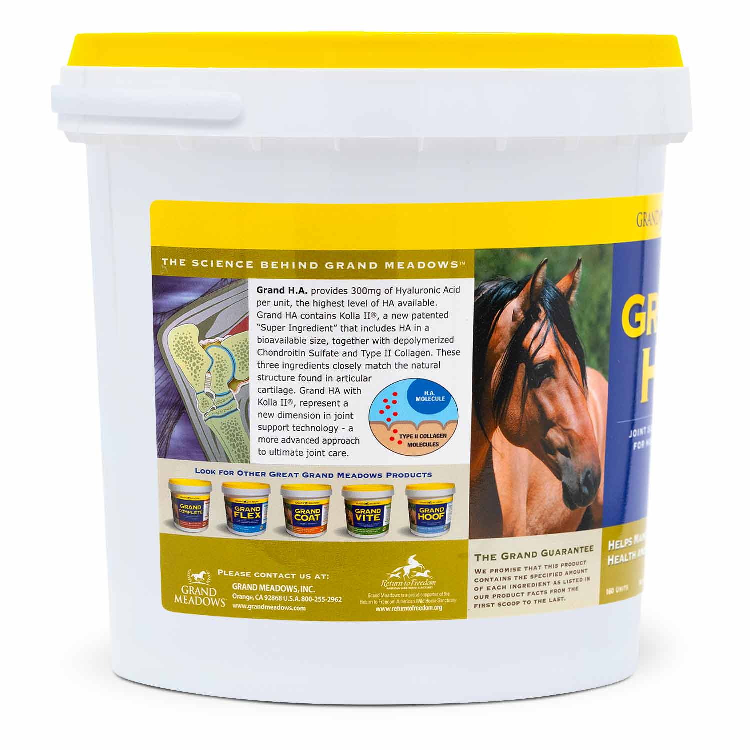 Grand H.A. Hyaluronic Acid Supplement for Joint Support in Horses - Image 5