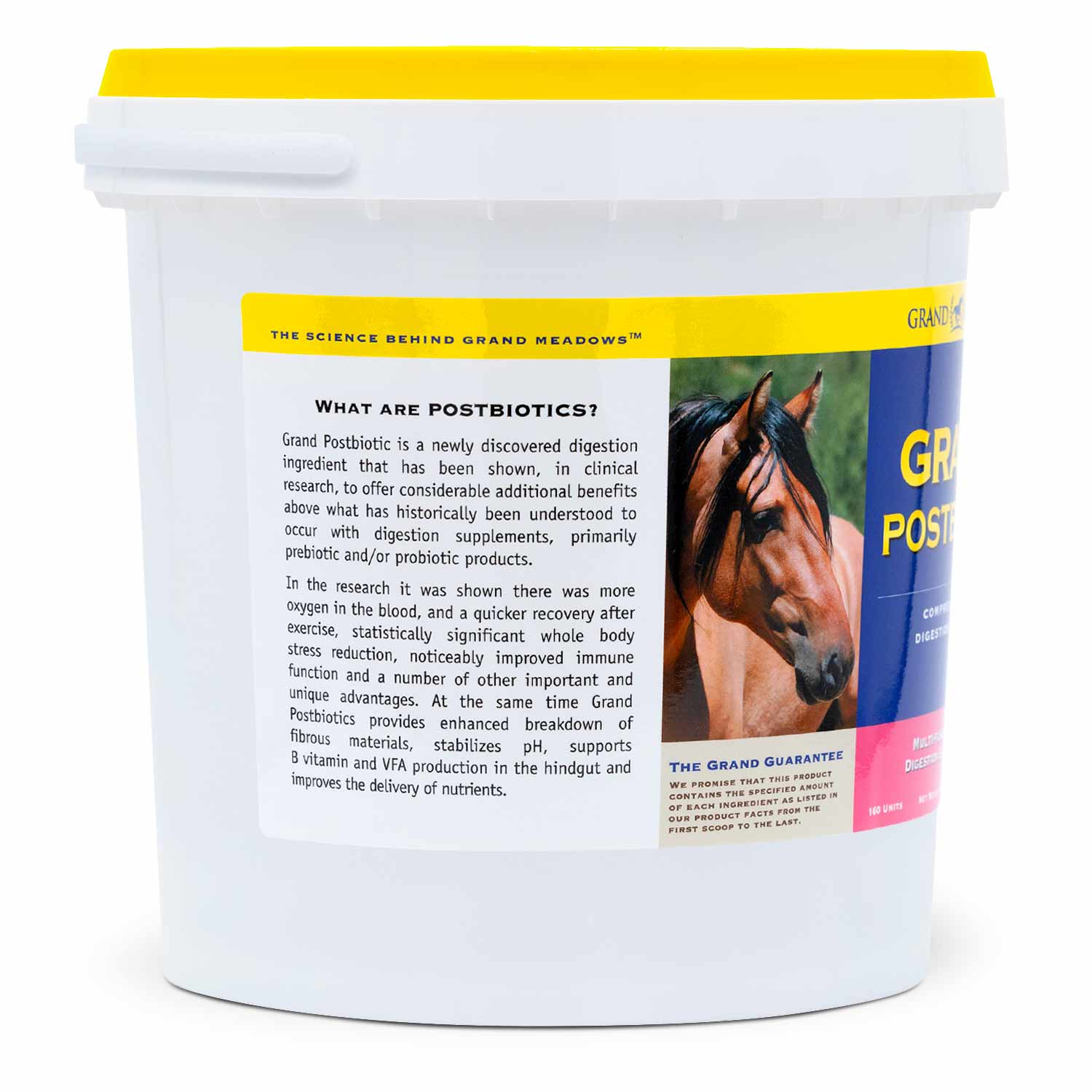 Grand Postbiotic Digestion Supplement for Horses - Image 5