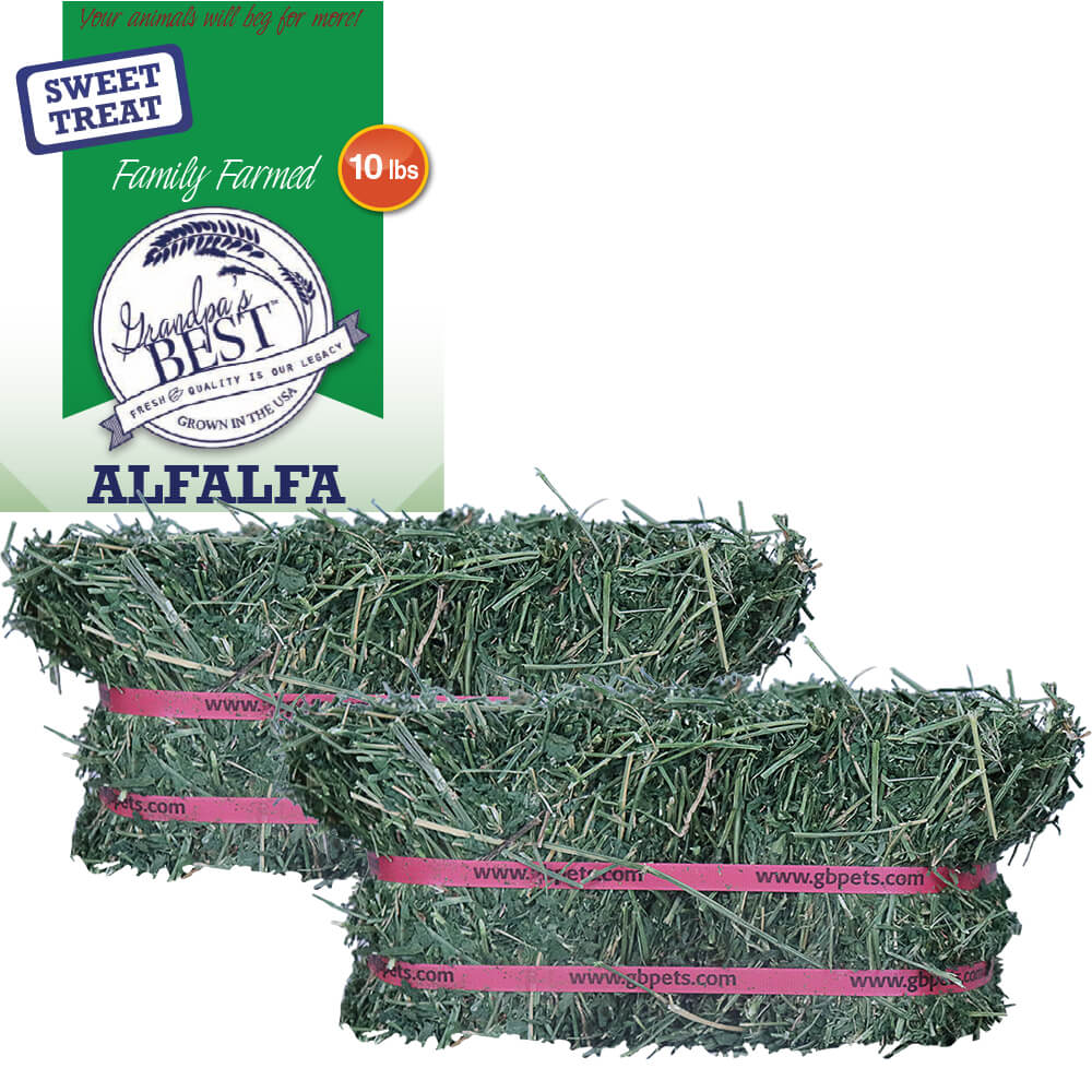 Grandpa’s Best Alfalfa Hay – Boxed or Baled, Premium Small Animal Hay - Image 10