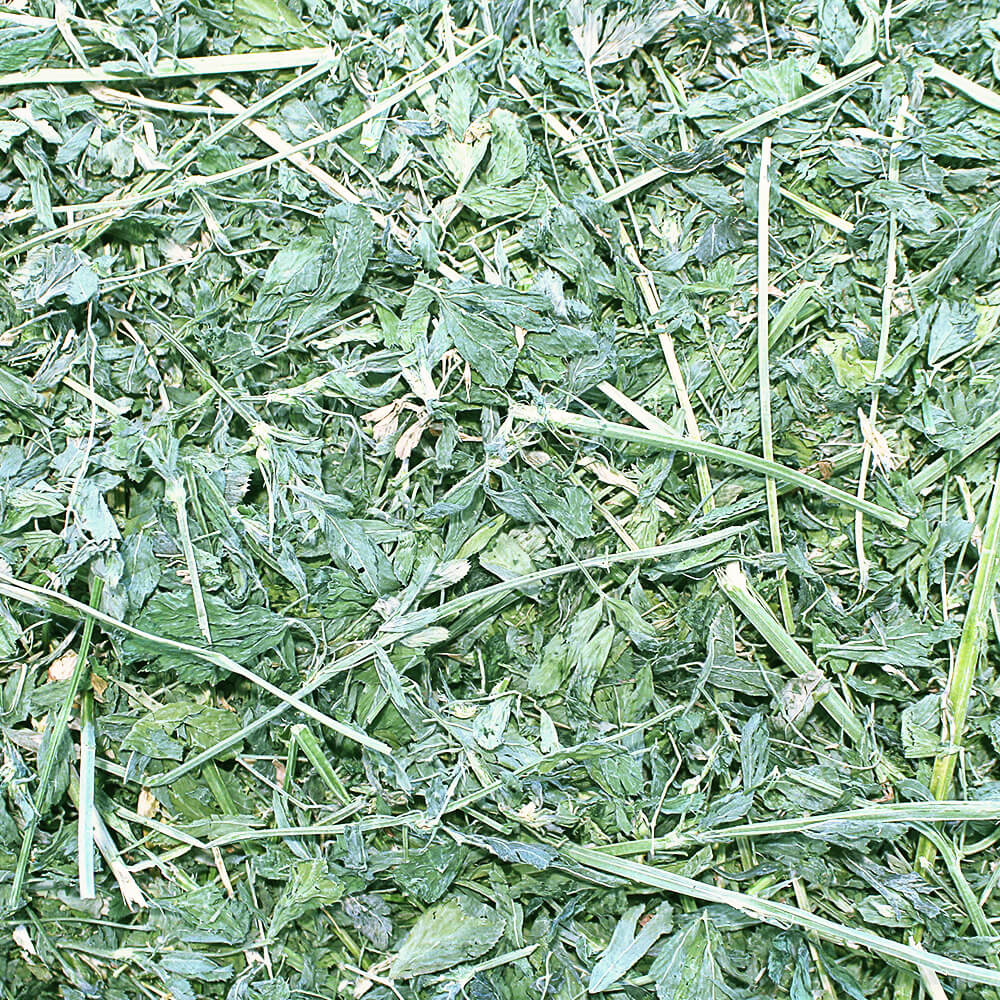 Grandpa’s Best Alfalfa Hay – Boxed or Baled, Premium Small Animal Hay - Image 3