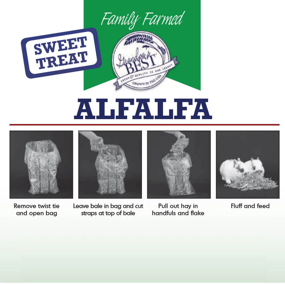 Grandpa’s Best Alfalfa Hay – Boxed or Baled, Premium Small Animal Hay - Image 8