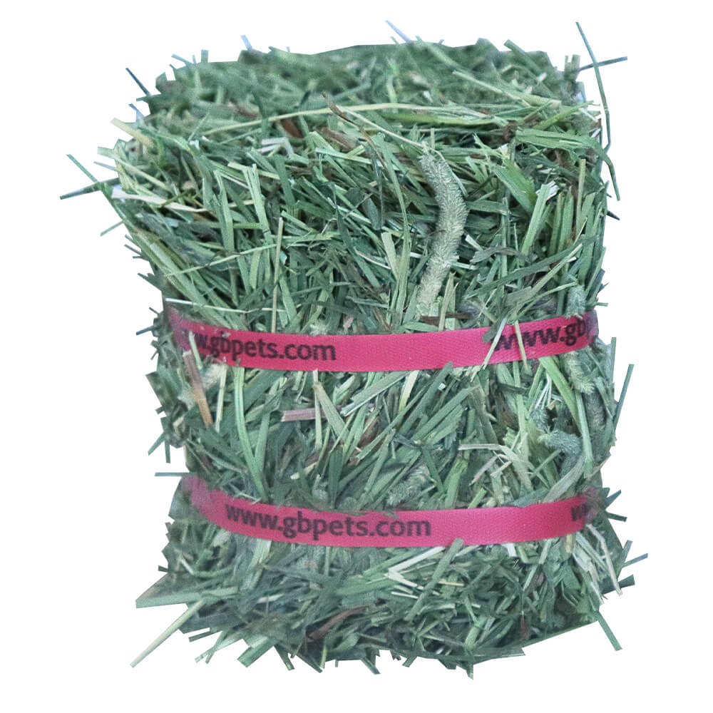 Grandpa’s Best Timothy Hay Loose or Bale – Premium High Fiber Small Pet Hay - Image 10