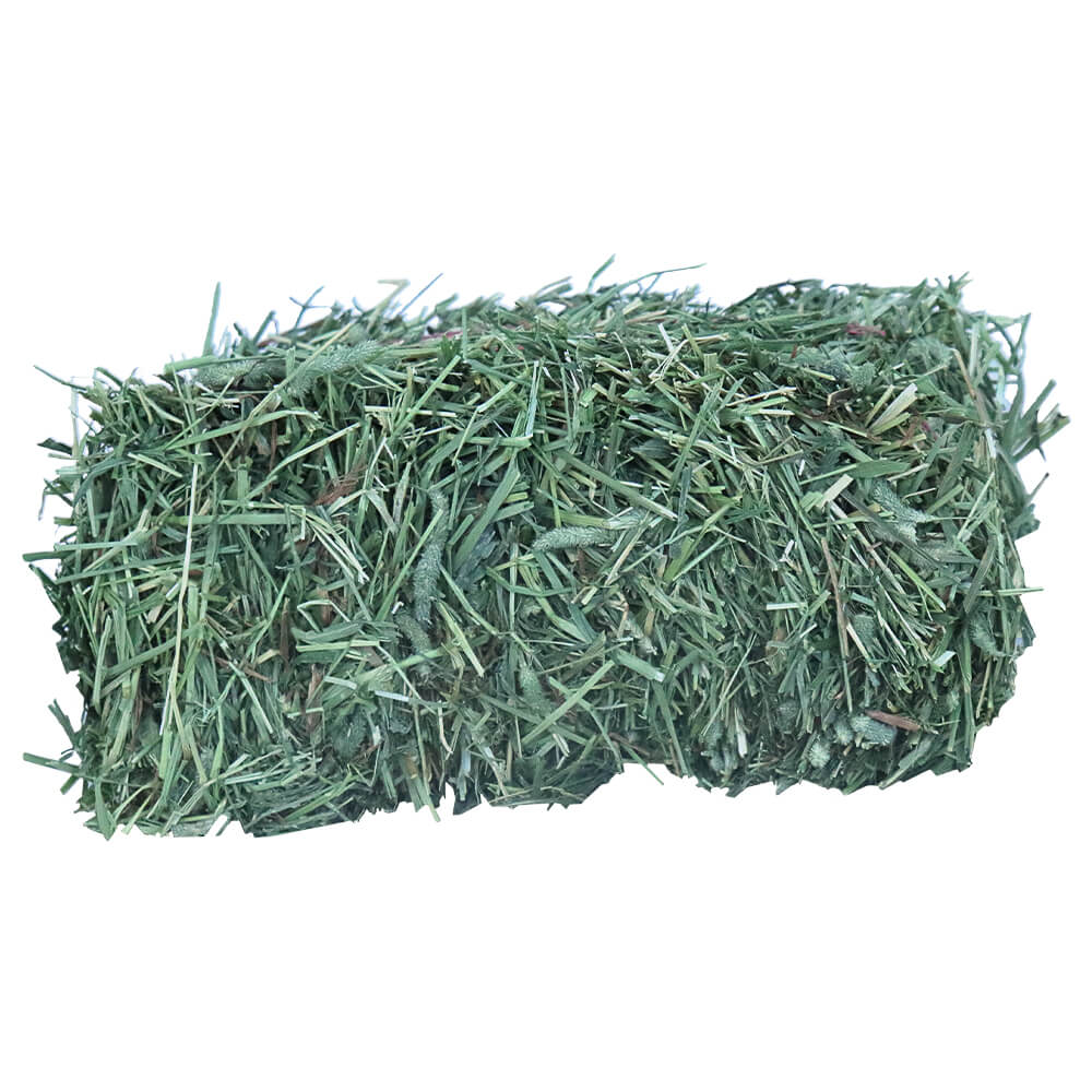 Grandpa’s Best Timothy Hay Loose or Bale – Premium High Fiber Small Pet Hay - Image 11